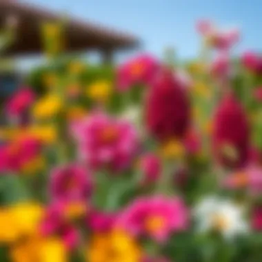 Diverse Antalyum Garden Display A beautifully arranged garden featuring various species of Antalyum flowers in full bloom.