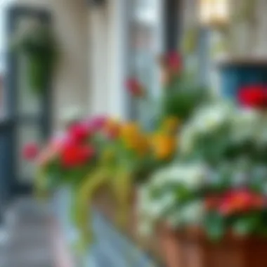 Choosing Seasonal Flowers for Your Balcony Seasonal balcony flower selection