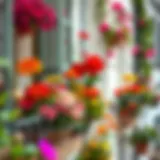 Vibrant balcony flower arrangement