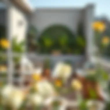 Balancing Aesthetics and Functionality in Balcony Design A beautifully designed balcony with greenery and modern furniture