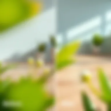 Transformation After Stain Removal Before and after comparison of stain removal