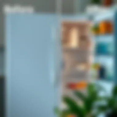 Before and after images of refrigerator cleaning