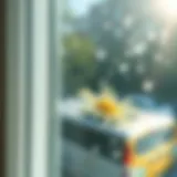 A sparkling clean window reflecting sunlight