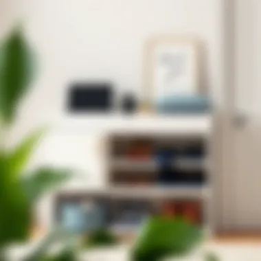 Stylish compact shoe storage solution