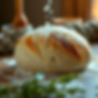 The Role of Water in Bread Dough Importance of water quality in dough preparation