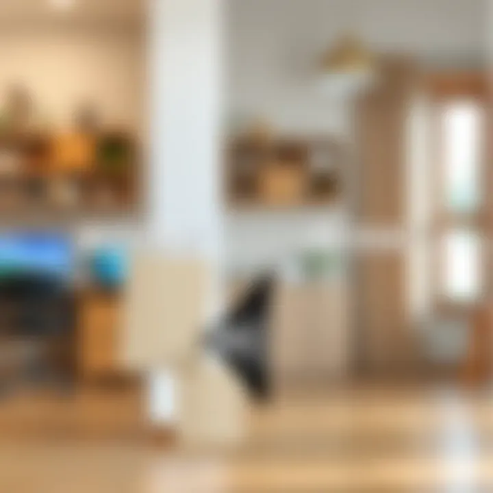 Before and After Adhesive Removal Before and after adhesive removal demonstration