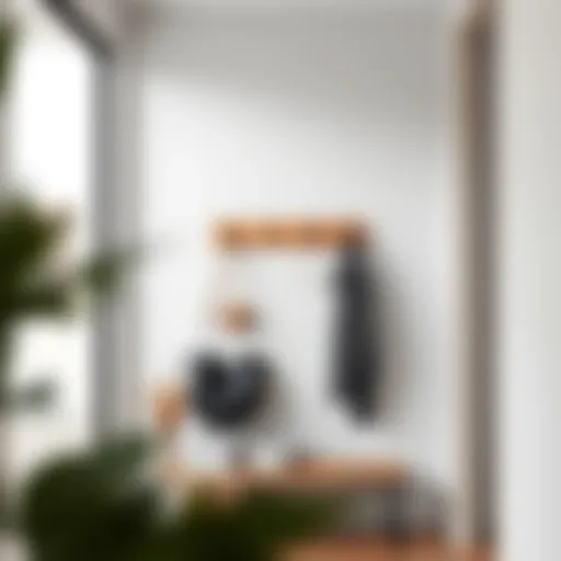 Sleek Minimalist Coat Rack for Small Entrances Modern entryway coat rack with minimalist design