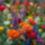 Vibrant garden with perennial flowering plants