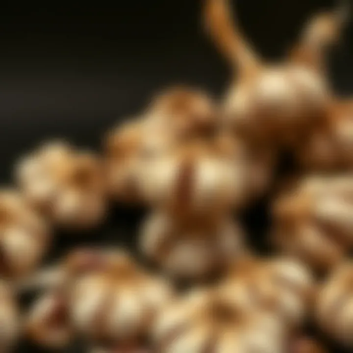 Various methods of garlic storage presented aesthetically