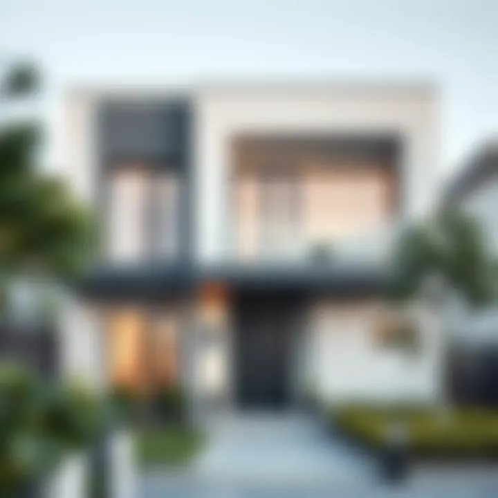 Architectural Innovations in Grey and White Exteriors Innovative architectural details in grey and white design