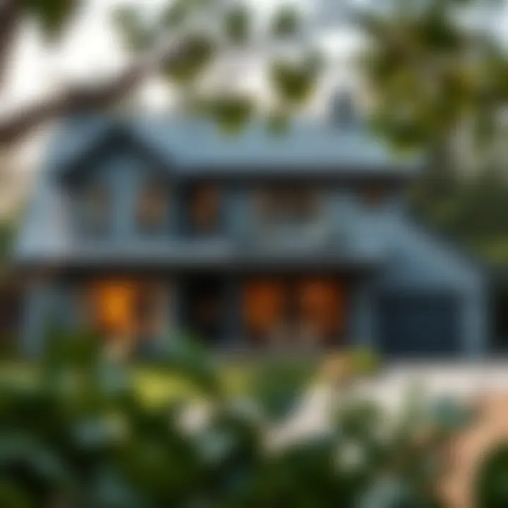 Stylish grey home blending seamlessly with its surroundings