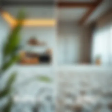 Before and after carpet cleaning