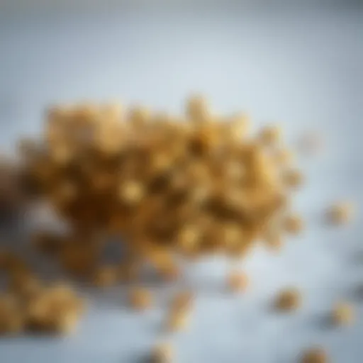 A close-up of dried linden flowers ready for infusion