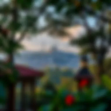 Scenic view of nature integrated with urban life in Istanbul