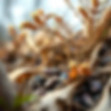 Natural elements showcasing different tones of brown in the environment