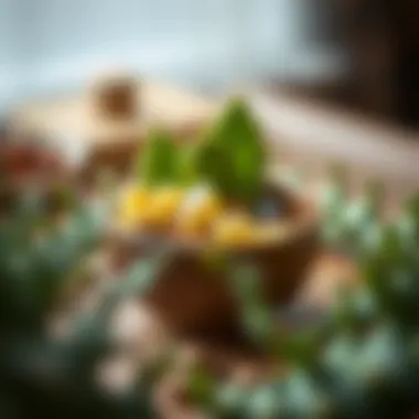 Culinary Delight with Cactus Leaf A beautifully styled dish featuring cactus leaf as a main ingredient