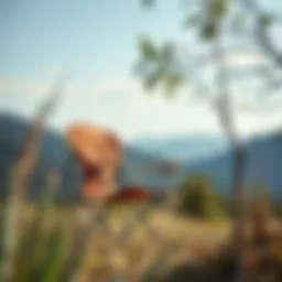 A stylish foldable camping chair set up in a scenic outdoor setting