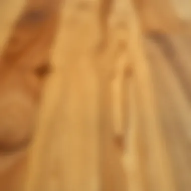 Close-up of a beautiful wood grain pattern on parquet