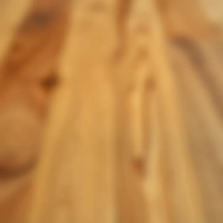 Close-up of a beautiful wood grain pattern on parquet