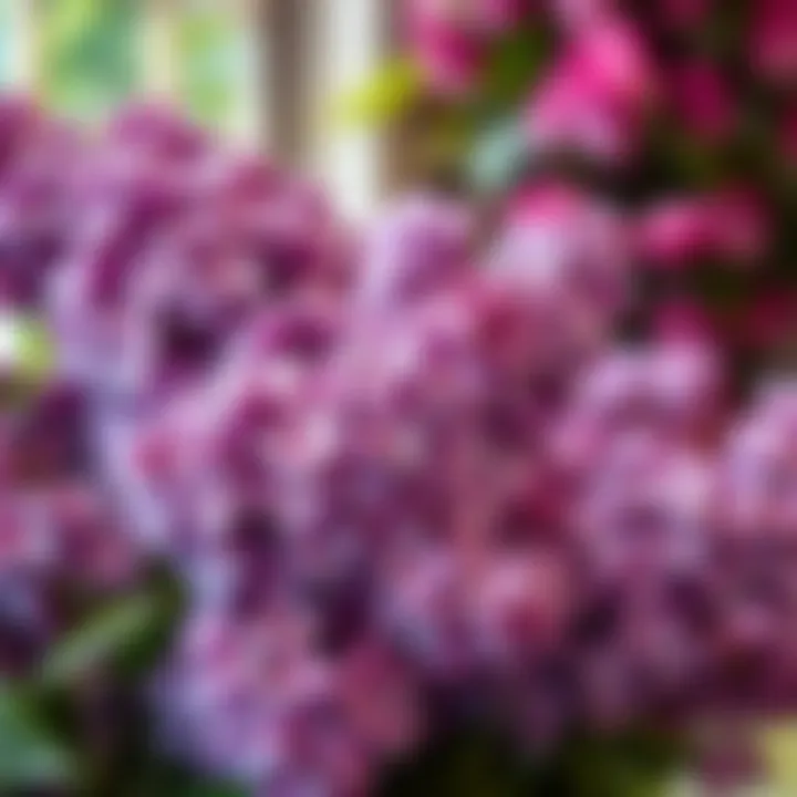 Artistic arrangement of lilac flowers with contrasting hues for a vibrant display