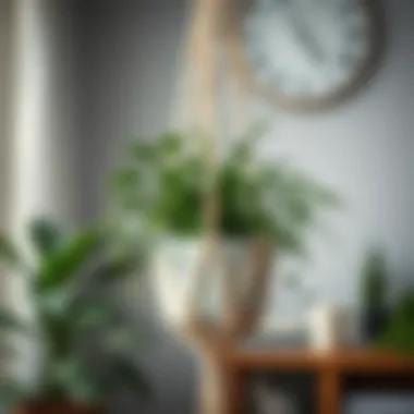 A beautifully crafted macrame plant holder showcasing greenery