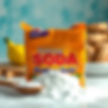 Baking Soda: An Effective Deodorizing Agent Baking soda for deodorizing surfaces