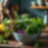 Fresh herbs for natural odor elimination