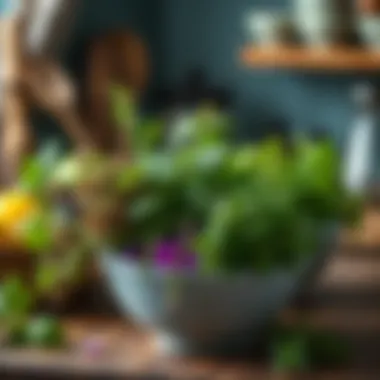 Using Fresh Herbs to Combat Kitchen Odors Fresh herbs for natural odor elimination