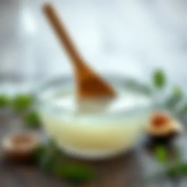 Vinegar as a Natural Odor Absorber Bowl of vinegar for odor absorption