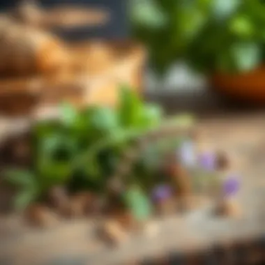 Natural Herbs for a Refreshing Scent Fresh herbs for natural odor removal