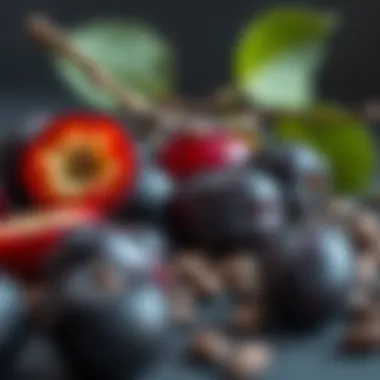 Nutritional profile of plum seeds