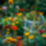 A vibrant garden filled with various plants known for repelling flies.