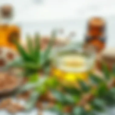 Natural Ingredients for Acne Treatment Various natural ingredients such as aloe vera and tea tree oil arranged aesthetically