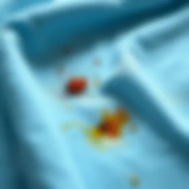 Clean fabric after stain removal