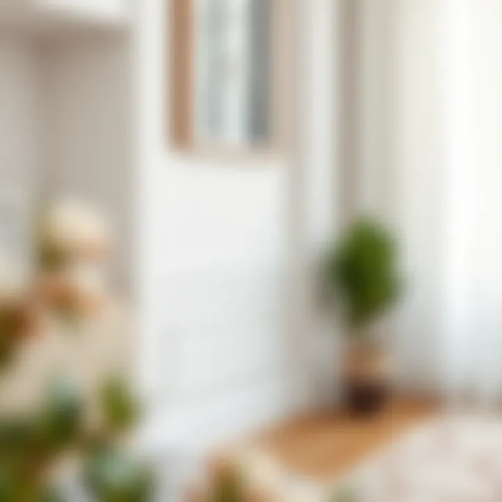 White skirting board enhancing room aesthetics