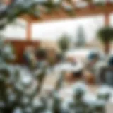 Winter garden with modern furniture and plants