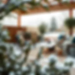 Winter garden with modern furniture and plants