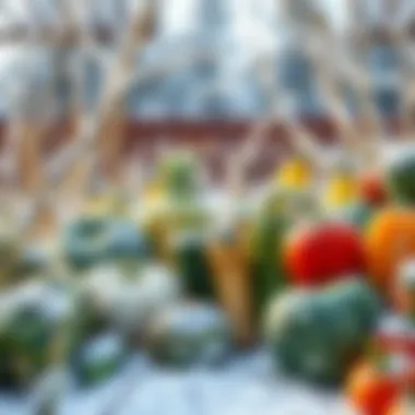 Various winter vegetables in a garden setting under snow.