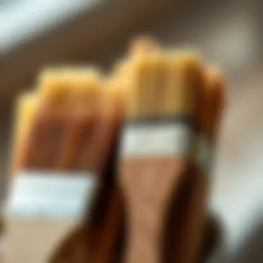 High-Quality Brushes for Wood Painting Close-up view of high-quality brushes used for wood painting