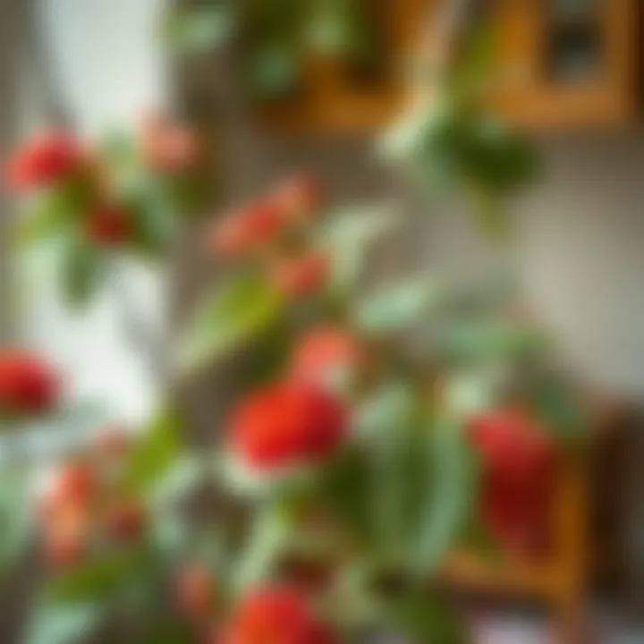 Common yuka plant care mistakes