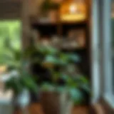 Yuka plant in a decorative pot